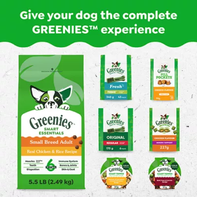 Product GREENIES Dog Dental Chews - Pumpkin Spice Flavour
