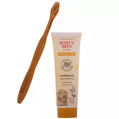 Burt's Bees Manuka Honey Dental Kit for Dogs, 2.5 oz - Image 2