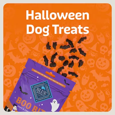 Product Blue Buffalo Boo Bites Chicken Flavored Dog Treats 4.5 OZ