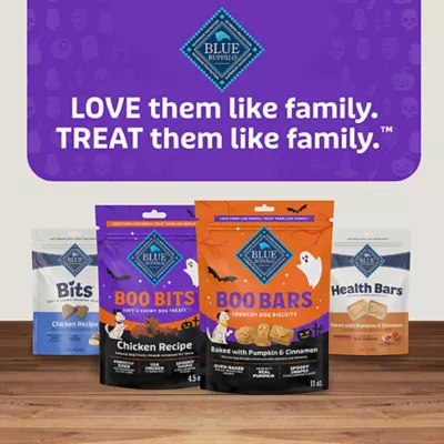 Product Blue Buffalo Boo Bites Chicken Flavored Dog Treats 4.5 OZ