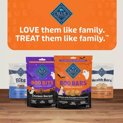 Product Blue Buffalo Boo Bars Pumpkin Cinnamon Dog Treats 11 OZ