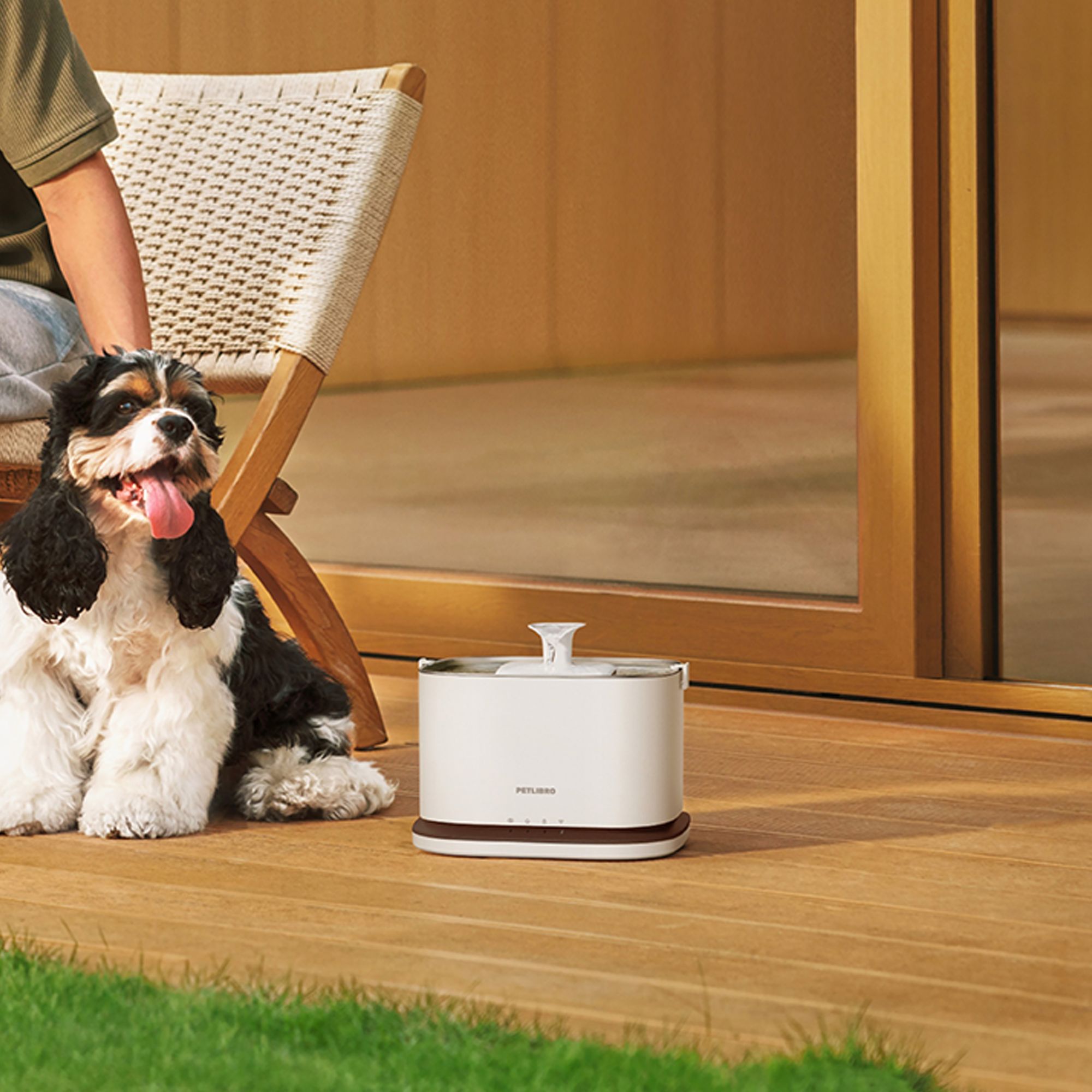 PETLIBRO Dockstream 2 Smart Cordless Fountain - thumbnail 10