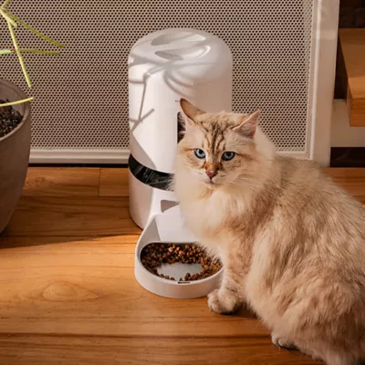 Product PETLIBRO Granary Smart Camera Feeder