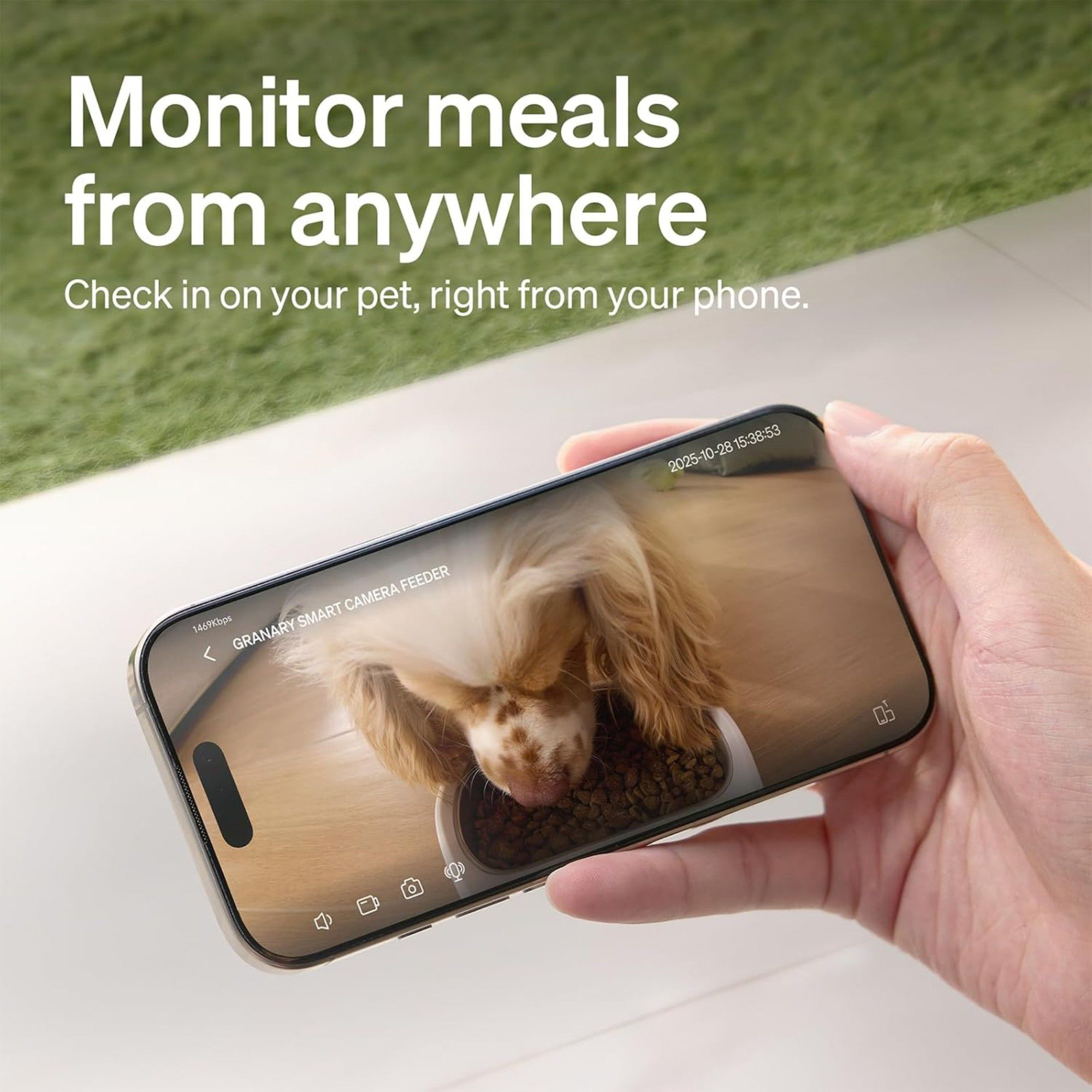 PETLIBRO Granary Smart Camera Feeder with 3-Month Cloud Storage - thumbnail 9