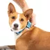 SiliDog Blue SmartTag AirTag Compatible image thumbnail 2