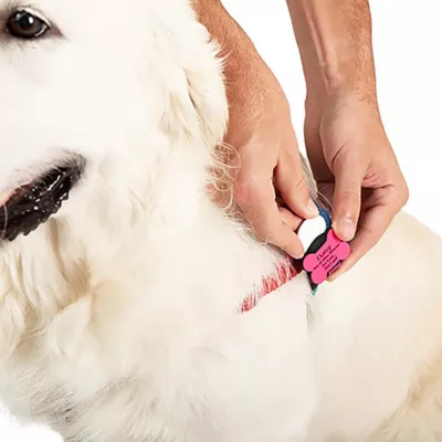 SiliDog Blue SmartTag AirTag Compatible - Image 2