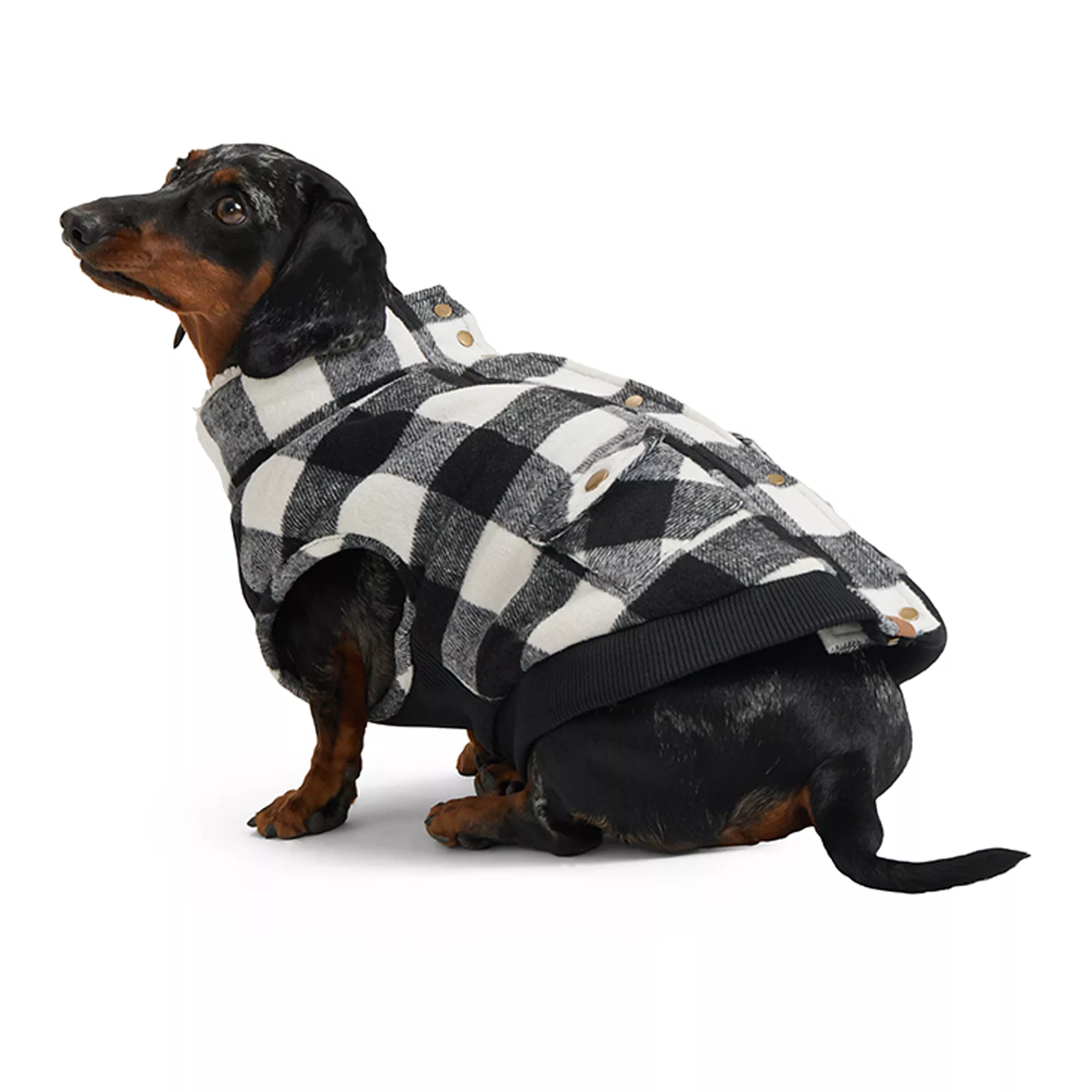 Hotel Doggy Dog Coat - Buffalo Check Melton Jacket - Ice Vanilla