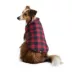 Hotel Doggy Dog Coat - Buffalo Check Puffer Jacket - Red image thumbnail 2