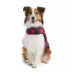 Hotel Doggy Dog Coat - Buffalo Check Puffer Jacket - Red image thumbnail 3