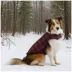 Hotel Doggy Dog Coat - Buffalo Check Puffer Jacket - Red image thumbnail 6