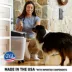 Mighty Tuff Dog Food Storage Container Combo, 36lb with 5qt Treat Container & Scoop - BPA Free image thumbnail 6