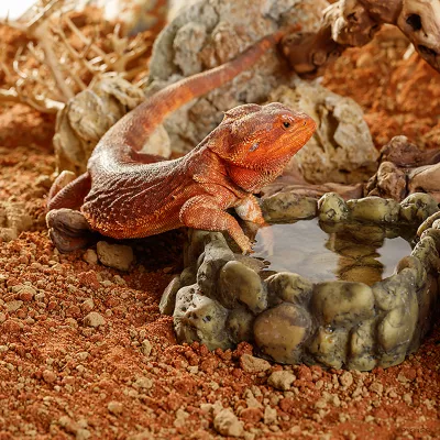 Product Exo Terra Stone Desert Substrate, Outback Red Stone, 10 kg (22 lbs)