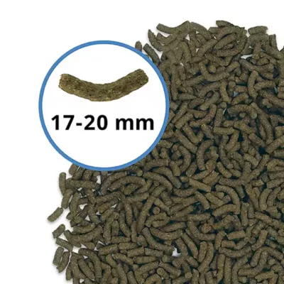 Product Fluval Nutrafin Bug Bites Turtle Food - Medium to Large Turtles, 17-20 mm, 100 g (3.5 oz)