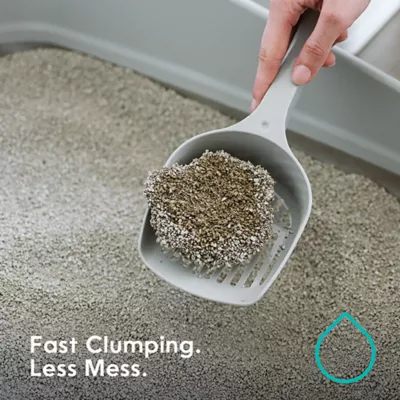 Product Litter Genie Light Clumping Unscented Cat Litter