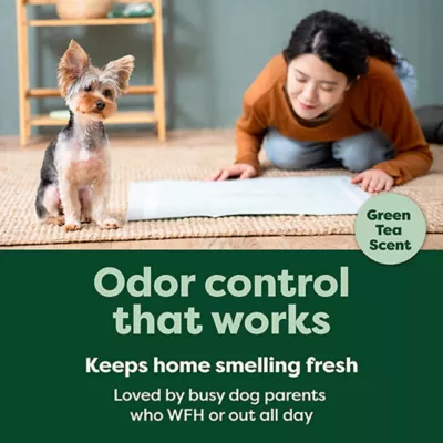 Product Earth Rated Puppy Pee Pads with AbsorbShield+ Technology