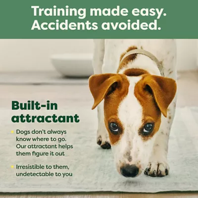 Product Earth Rated Puppy Pee Pads with AbsorbShield+ Technology