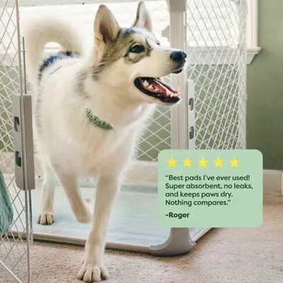 Product Earth Rated Puppy Pee Pads with AbsorbShield+ Technology