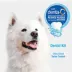 Nylabone® Advanced Oral Care Dog Dental Kit Original 2.5 Ounce (3 Count) image thumbnail 5