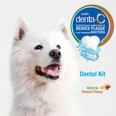 Product Nylabone® Advanced Oral Care Natural Dog Dental Kit Peanut Butter 2.5 Ounce (3 Count)