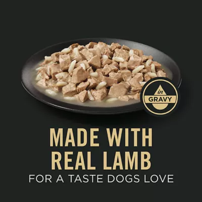 Product Purina Pro Plan Sensitive Skin & Stomach Adult Wet Dog Food - In Gravy, Lamb & Oat Meal, 13 oz