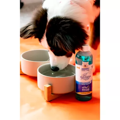 Nylabone® Advanced Oral Care Water Additive for Dogs - Image 2