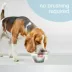 Nylabone® Advanced Oral Care Water Additive for Dogs image thumbnail 6
