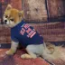 Pets First Ole Miss Tee Shirt image thumbnail 2