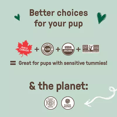 Product Cookie Pal Dog Treats - Gingerbread Biscuits, 10 OZ