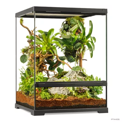 Product Exo Terra Pro Terrarium Advanced Natural Terrarium - Small-Tall - 45 x 45 x 60 cm