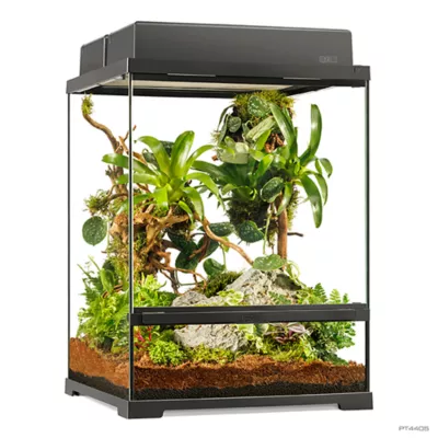 Product Exo Terra Pro Terrarium Advanced Natural Terrarium - Small-Tall - 45 x 45 x 60 cm