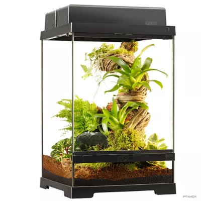 Product Exo Terra Pro Terrarium Advanced Natural Terrarium - Extra Small-Tall - 30 x 30 x 45 cm