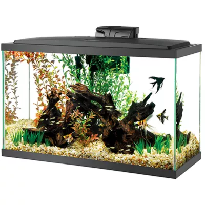 Product Aqueon® Open Glass Rectangle Aquarium - 29 Gallon