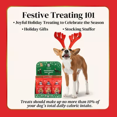 Product Lord Jameson Gingerbread Dog Treats