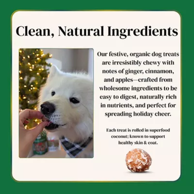 Product Lord Jameson Christmas Apple Cobbler Dog Treats