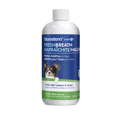 Product bluestem Water Additive with coactiv+ technology for Dogs Only - Vanilla Mint Flavour