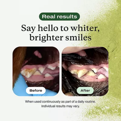 PetLab Co. Dog ProBright Advanced Dental Powder, Tartar & Bad Breath, Multiple Dog Sizes, 1.5-3.17oz - Image 7