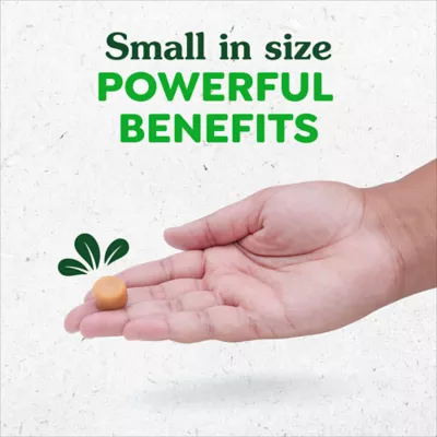 Greenies Skin and Coat Sensitive Care Supplement for Dogs, Peanut Butter Flavor, 80 Count Tub - Image 4