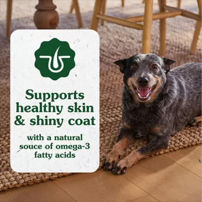 Greenies Skin and Coat Sensitive Care Supplement for Dogs, Peanut Butter Flavor, 80 Count Tub - Image 6