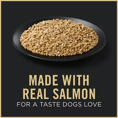 Product Purina Pro Plan Sensitive Skin & Stomach Adult Wet Dog Food - Classic, Salmon & Rice, 13 oz