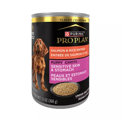 Product Purina Pro Plan Sensitive Skin & Stomach Puppy Wet Dog Food - Classic, Salmon & Rice, 13 oz