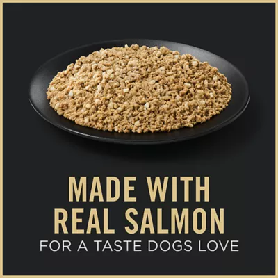 Product Purina Pro Plan Sensitive Skin & Stomach Puppy Wet Dog Food - Classic, Salmon & Rice, 13 oz