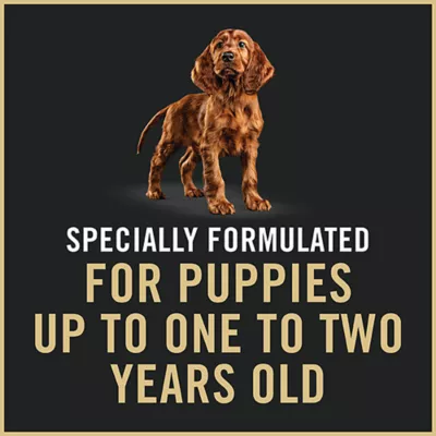 Product Purina Pro Plan Sensitive Skin & Stomach Puppy Wet Dog Food - Classic, Salmon & Rice, 13 oz