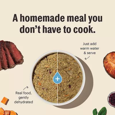 Product The Honest Kitchen Grain Free Dehydrated Adult Dog Food - Fish