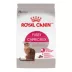 Royal Canin Feline Fussy Cat Adult Dry Cat Food Care Nutrition image thumbnail 1