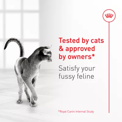Royal Canin Feline Fussy Cat Adult Dry Cat Food Care Nutrition - Image 2