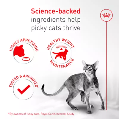 Royal Canin Feline Fussy Cat Adult Dry Cat Food Care Nutrition - Image 3
