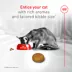 Royal Canin Feline Fussy Cat Adult Dry Cat Food Care Nutrition image thumbnail 5