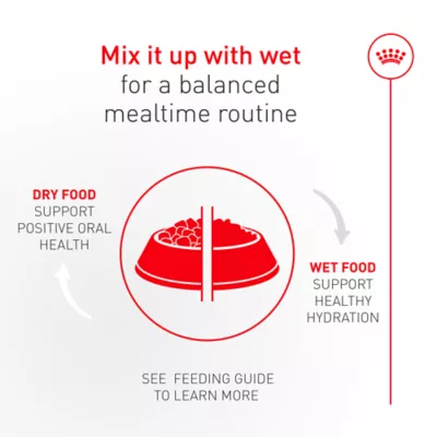 Royal Canin Feline Fussy Cat Adult Dry Cat Food Care Nutrition - Image 6