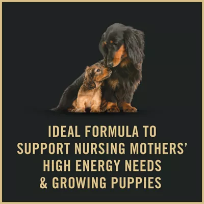 Product Purina Pro Plan Puppy Starter Ultra Soft Mousse Mother & Puppy Wet Dog Food - Chicken, 5.5 oz