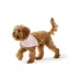 Top Paw® New Puppy Bandana image thumbnail 1